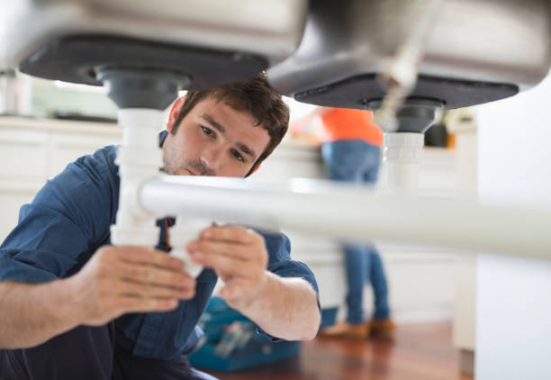 Best Clogged Drain Plumber  in Hasson Heights, PA